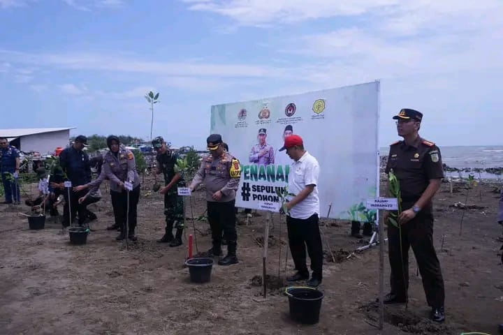 Program Penanaman Sepuluh Juta Pohon Serentak Digelar Di Seluruh Indonesia Mandanews Id