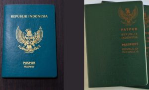 Xr:d:dafh3t9rdd8:5,j:3909848839,t:23050313